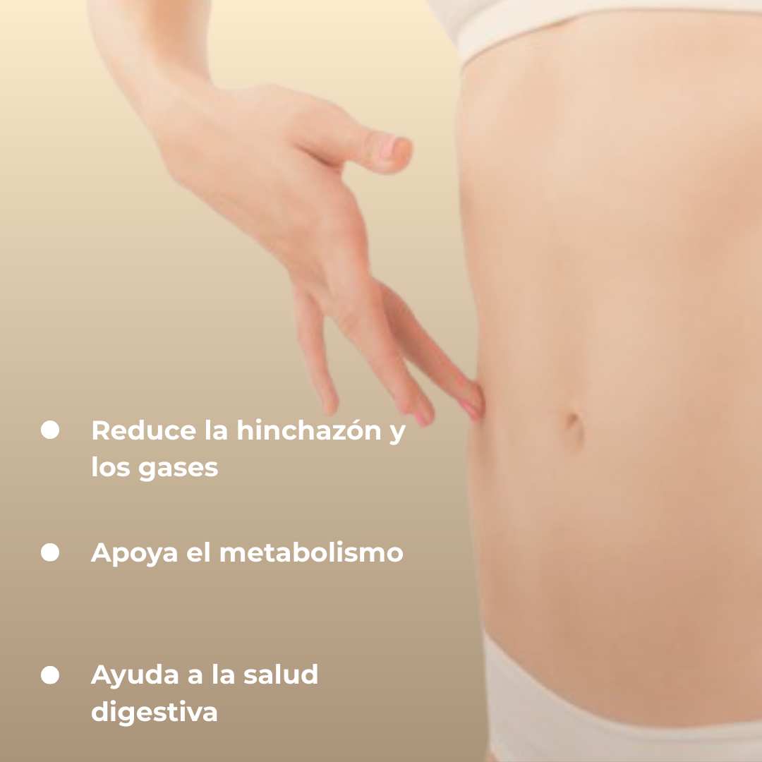 Probióticos Bienestar Digestivo